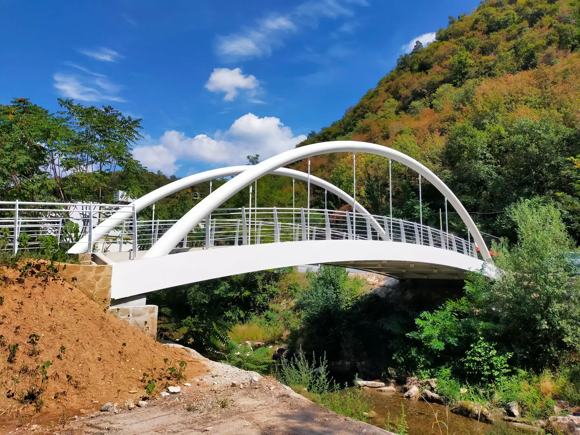Progettazione ponti in acciaio, ferro, carpenteria metallica 6914-6 | Mangili & Associati Spa